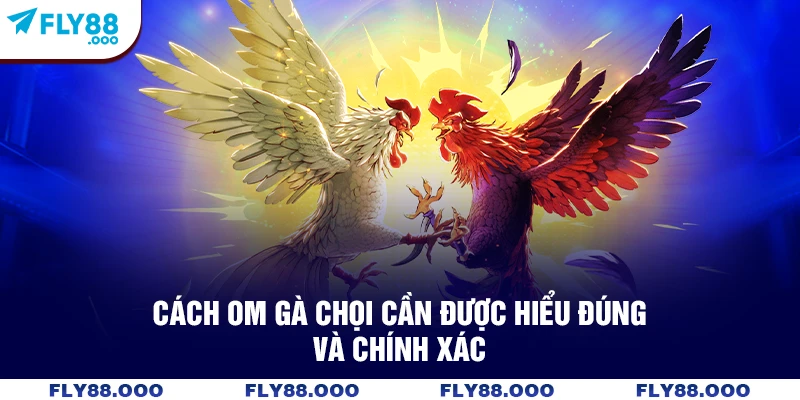 Cách om gà chọi cần được hiểu đúng và chính xác