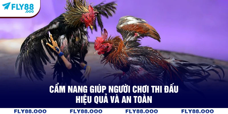 Cẩm nang giúp người chơi thi đấu hiệu quả và an toàn