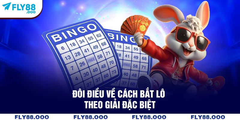 Đôi điều về cách bắt lô theo giải đặc biệt
