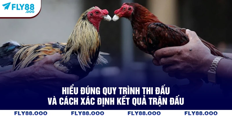 Hiểu đúng quy trình thi đấu và cách xác định kết quả trận đấu