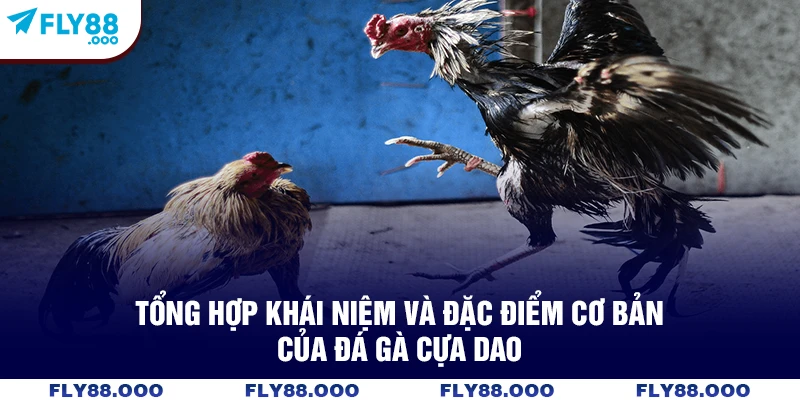 Tổng hợp khái niệm và đặc điểm cơ bản của đá gà cựa dao